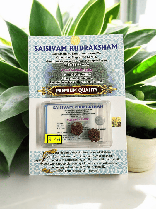 4 MUKHI RUDRAKSHA 2 BEADS BOX