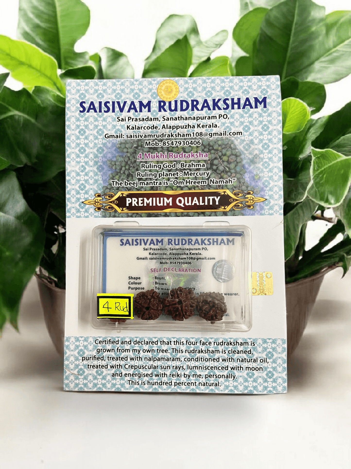 4 MUKHI RUDRAKSHA 4 BEADS BOX