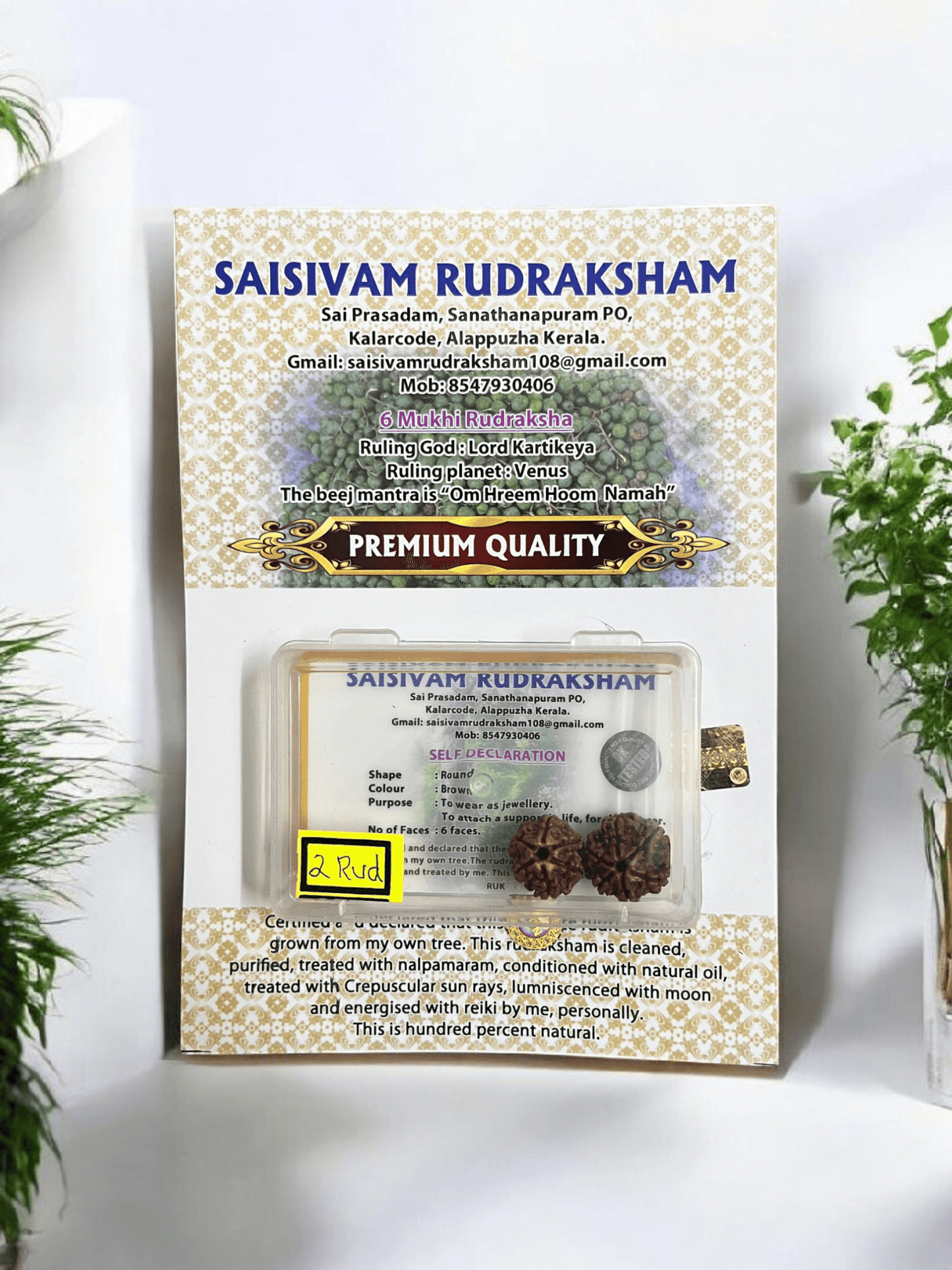 6 MUKHI RUDRAKSHA 2 BEADS BOX