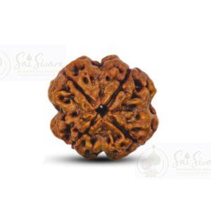 Premium 4 Mukhi Bead