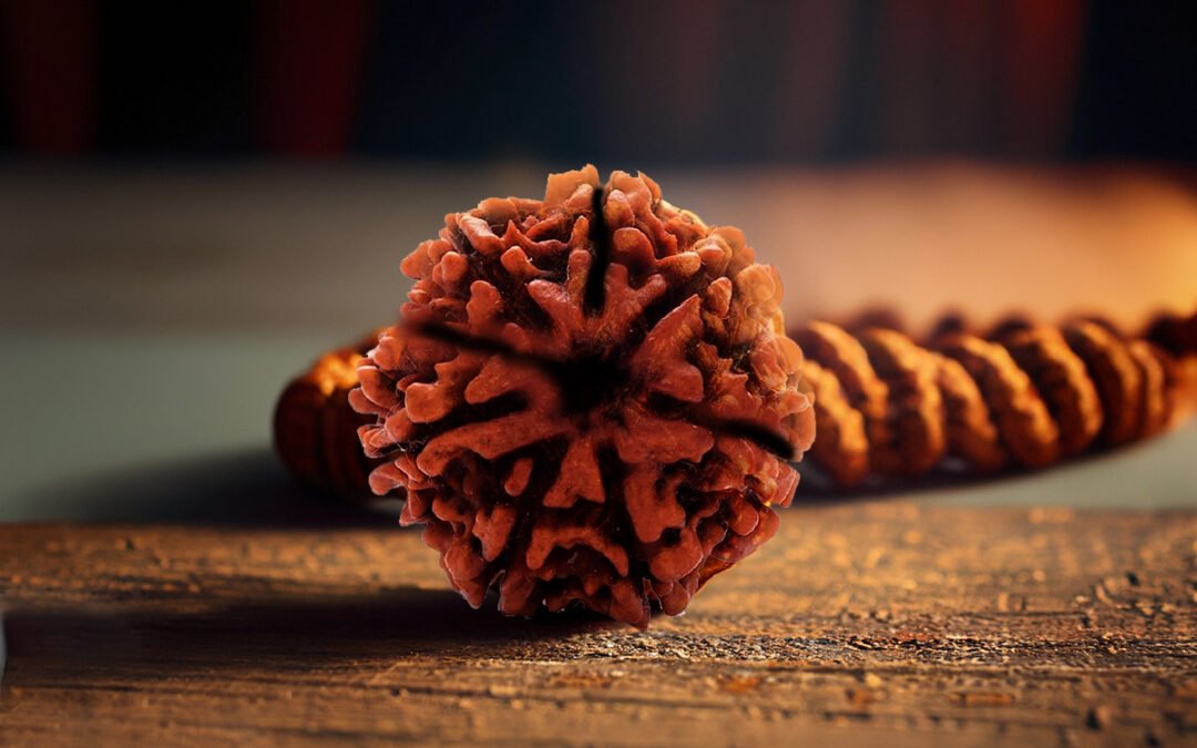 5 Mukhi Rudraksha Side Effects