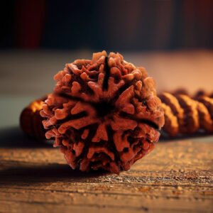 5 Mukhi Rudraksha