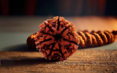 5 Mukhi Rudraksha Side Effects