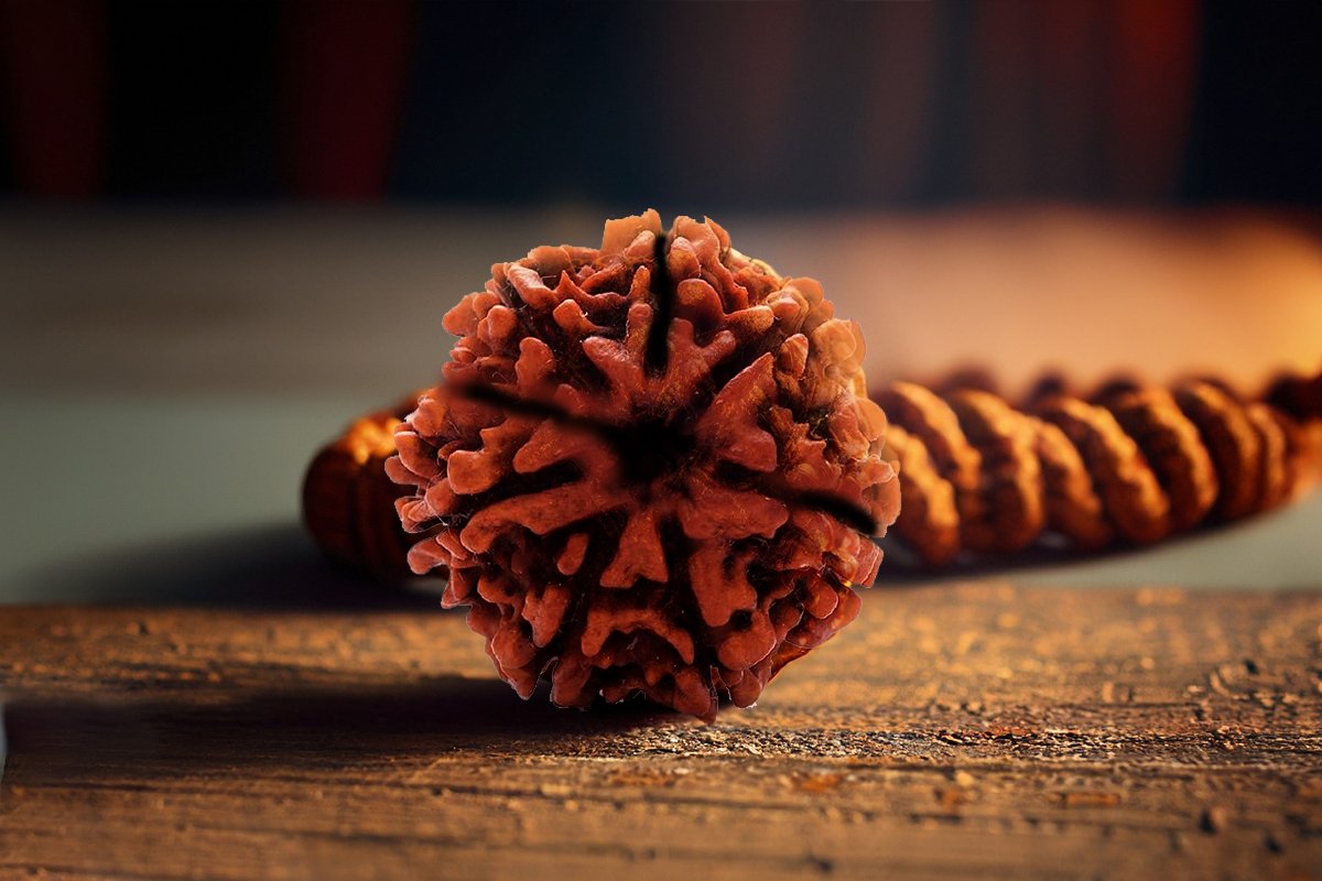 Rudraksha