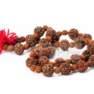 Rudraksha Japa Mala (108 +1 Meru Bead)