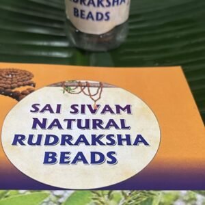 11 Energised Rudraksham Beads