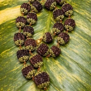 27+1 Meru Bead Gaint Rudraksha Japamala
