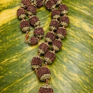 27+1 Meru bead Medium Size Rudraksham Japamala