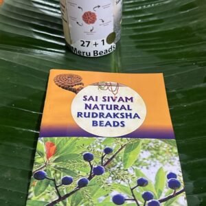 27 Energised Rudraksham Beads + 1 Meru Bead Box Untied