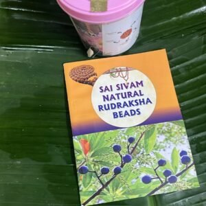 43 Medium Energised Rudraksham Beads + 1 Meru Bead Box Untied