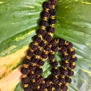 5 Mukhi Energised 54+1 Meru Beed  Giant Japa Mala