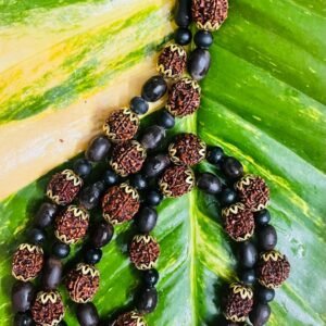 Rudraksham, Lotus Seed & Karingali Japamala