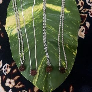 Steel Chain with One 5 Mukhi Rudraksham Bead