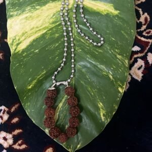 Steel Chain with 11 Five Mukhi Rudraksham Beads