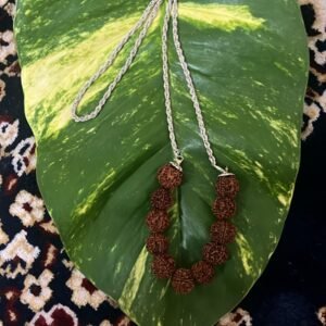 Steel Chain with 11 Five Mukhi Rudraksham Beads